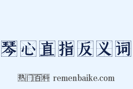 琴心直指反义词是什么意思的图片